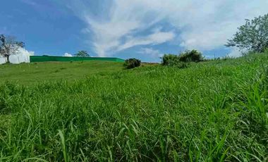 LOTE EN VENTA SANTAGUEDA - PALESTINA