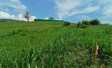 LOTE EN VENTA EN SANTAGUEDA - PALESTINA