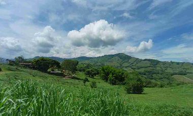 LOTE EN VENTA EN SANTAGUEDA - PALESTINA