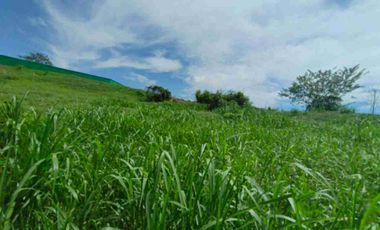 LOTE EN VENTA EN SANTAGUEDA - PALESTINA