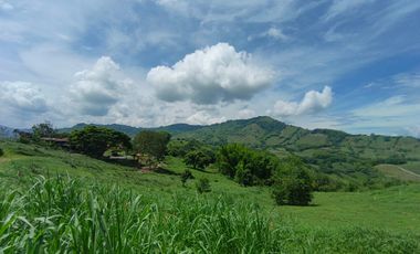 LOTE EN VENTA EN SANTAGUEDA/PALESTINA