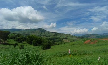 LOTE EN VENTA EN SANTAGUEDA/PALESTINA