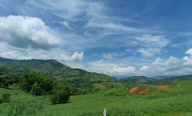 LOTE EN VENTA EN SANTAGUEDA/PALESTINA