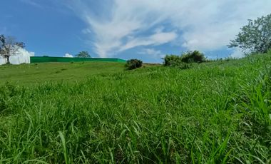 LOTE EN VENTA EN SANTAGUEDA/PALESTINA