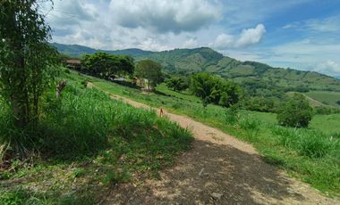 LOTE EN VENTA EN SANTAGUEDA/PALESTINA