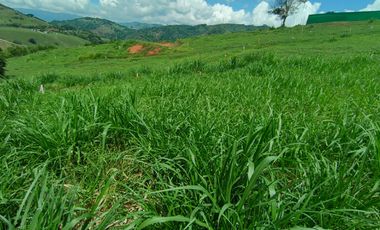 LOTE EN VENTA EN SANTAGUEDA/ PALESTINA