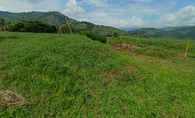 LOTE EN VENTA EN SANTAGUEDA/ PALESTINA