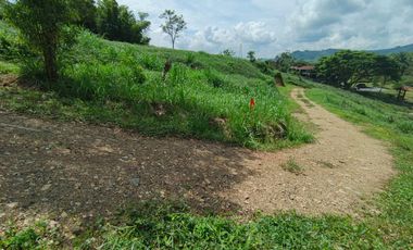 LOTE EN VENTA EN SANTAGUEDA/ PALESTINA