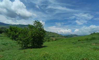 LOTE EN VENTA EN SANTAGUEDA/PALESTINA