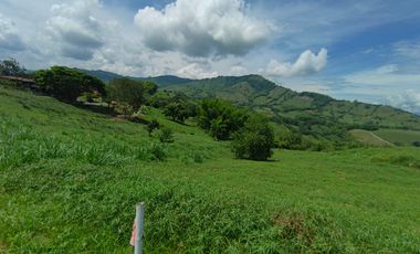 LOTE EN VENTA EN SANTAGUEDA/PALESTINA