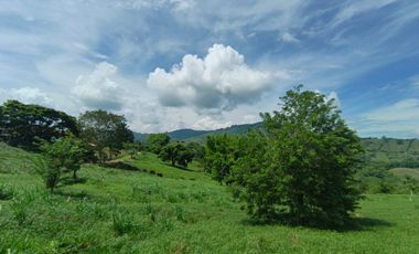 LOTE EN VENTA EN SANTAGUEDA/PALESTINA