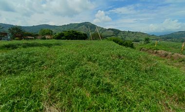 LOTE EN VENTA EN SANTAGUEDA/ PALESTINA