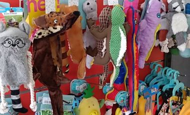 Tienda mascotas barrio italia