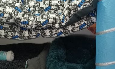 Tienda mascotas barrio italia