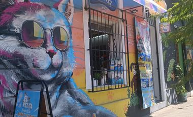 Tienda mascotas barrio italia