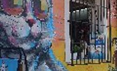 Tienda mascotas barrio italia