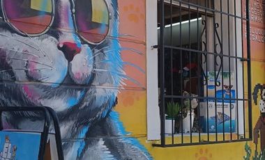 Tienda mascotas barrio italia