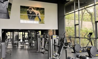 Espectacular departamento en Renta en El Bosque, Lomas de Vista Hermosa