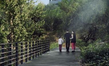 Espectacular departamento en Renta en El Bosque, Lomas de Vista Hermosa