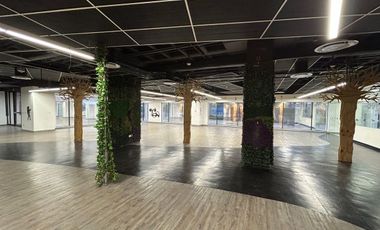 Renta Local Comercial de 533 m² en Colonia Granada – Ubicación Inmejorable