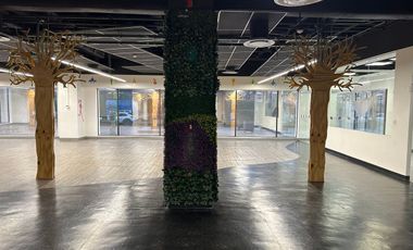 Renta Local Comercial de 533 m² en Colonia Granada – Ubicación Inmejorable
