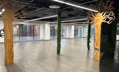 Renta Local Comercial de 533 m² en Colonia Granada – Ubicación Inmejorable