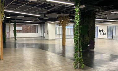 Renta Local Comercial de 533 m² en Colonia Granada – Ubicación Inmejorable