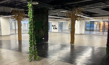 Renta Local Comercial de 533 m² en Colonia Granada – Ubicación Inmejorable