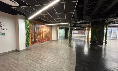Renta Local Comercial de 533 m² en Colonia Granada – Ubicación Inmejorable