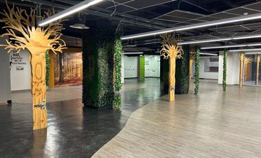 Renta Local Comercial de 533 m² en Colonia Granada – Ubicación Inmejorable