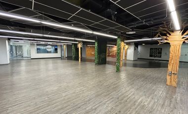Renta Local Comercial de 533 m² en Colonia Granada – Ubicación Inmejorable
