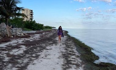 DE ENSUEÑO EN LA PLAYA: AMUEBLADO Y LISTO PARA DISFRUTAR