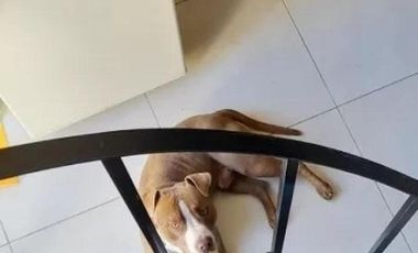 Departamento en venta - 1 Dormitorio 1 Baño - 75Mts2 - Merlo