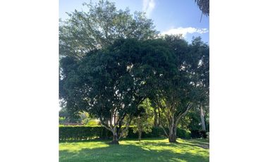 Se Renta casa campestre o se vende finca