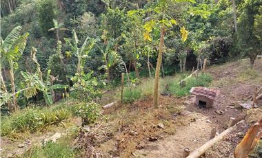 Se vende finca Vereda Pérez bajo, Pereira