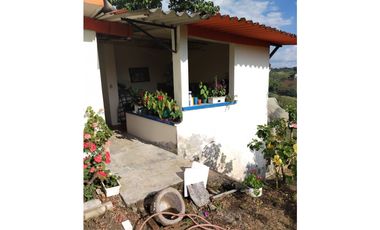 Se vende finca Vereda Pérez bajo, Pereira