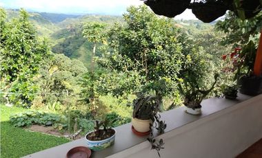 Se vende finca Vereda Pérez bajo, Pereira