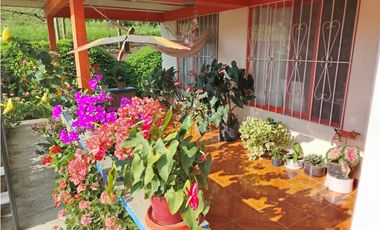 Se vende finca Vereda Pérez bajo, Pereira