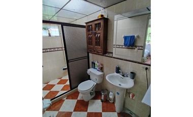 Se vende finca Vereda Pérez bajo, Pereira