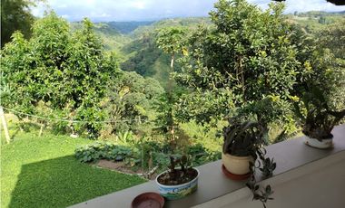 Se vende finca Vereda Pérez bajo, Pereira