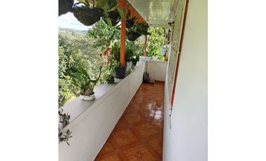 Se vende finca Vereda Pérez bajo, Pereira