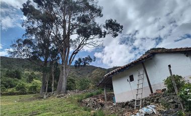 VENTA PERMUTA FINCA EN TONA SANTANDER COD: 1057