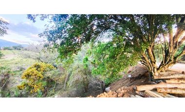 Lotes desde 1500 M2 - 3400 M2 desde 160 mill en La Mesa Cund