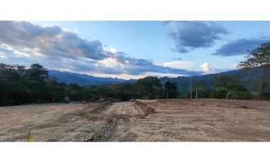 Lotes desde 1500 M2 - 3400 M2 desde 160 mill en La Mesa Cund