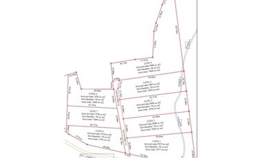 Lotes desde 1500 M2 - 3400 M2 desde 160 mill en La Mesa Cund