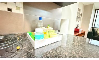 Puerto Santa Ana, Bellini Suite Amoblada en Renta, 60m2