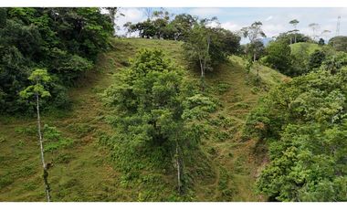 Se Vende Finca en Coclesito, La Pintada, Penonomé MLS23482