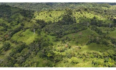 Se Vende Finca en Coclesito, La Pintada, Penonomé MLS23482