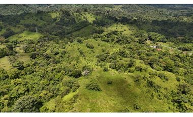 Se Vende Finca en Coclesito, La Pintada, Penonomé MLS23482