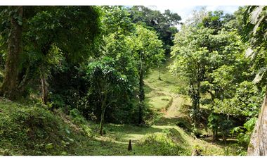 Se Vende Finca en Coclesito, La Pintada, Penonomé MLS23482